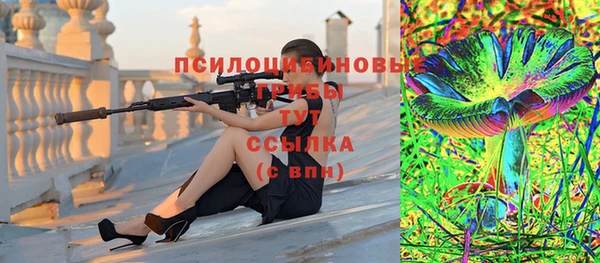 герыч Алексин