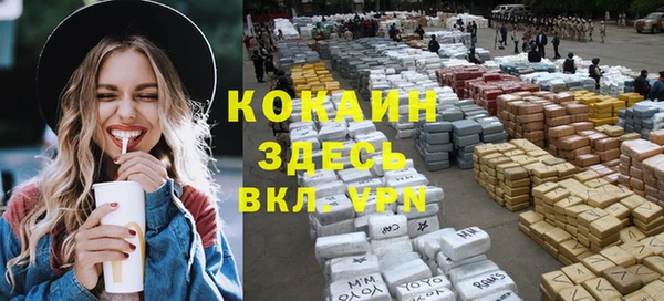 дживик Абинск